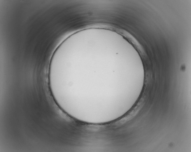 X0000116830860201001081436