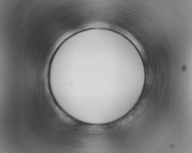 X0000116830861201001081436