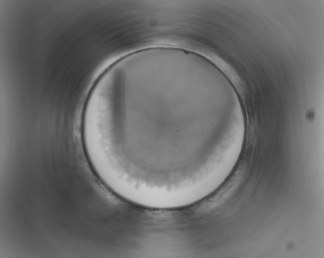 X0000116830862201001081436