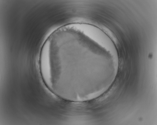 X0000116830863201001081436