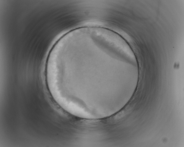 X0000116830864201001081436