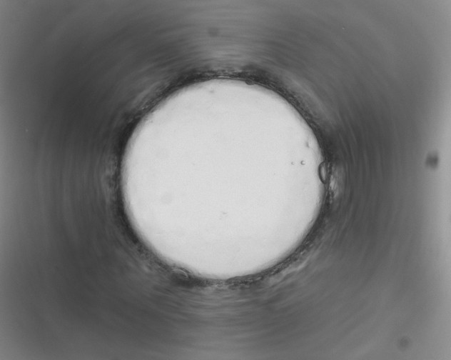 X0000116830867201001081436