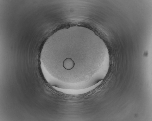 X0000116830868201001081435