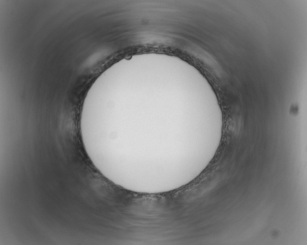 X0000116830869201001081435