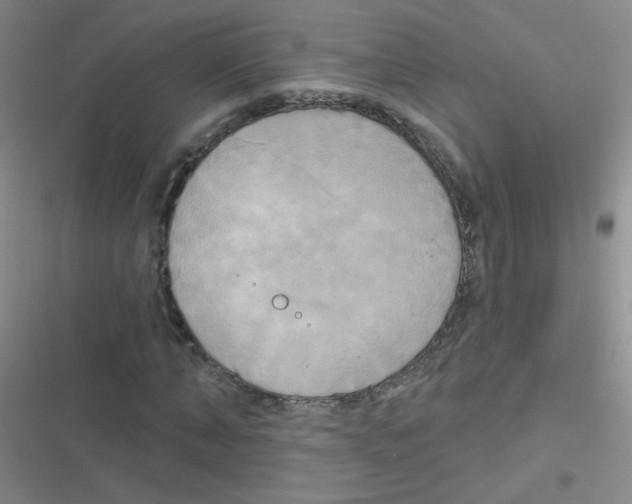 X0000116830870201001081435