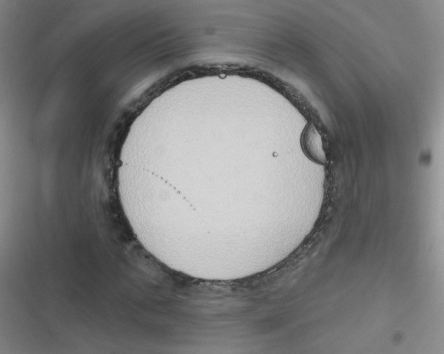 X0000116830871201001081435