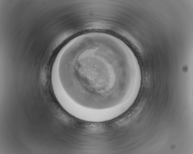 X0000116830874201001081435