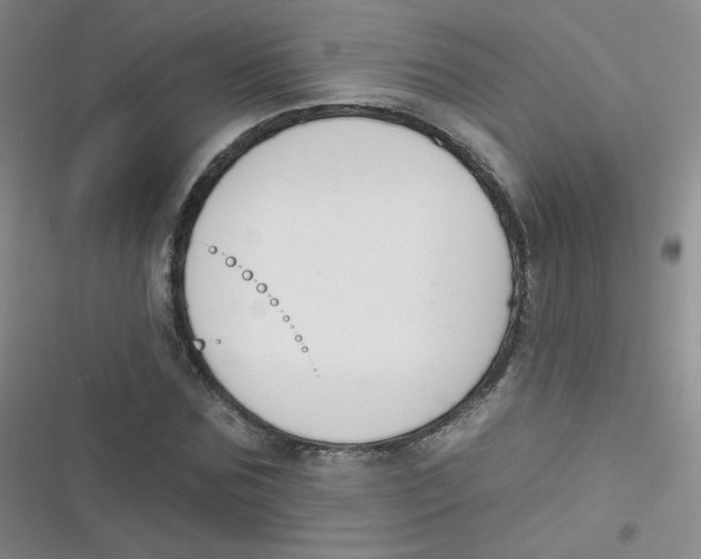 X0000116830875201001081435