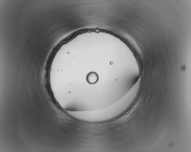 X0000116830876201001081435