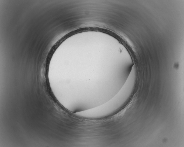 X0000116830877201001081435