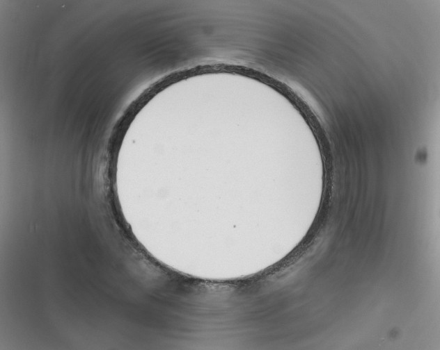 X0000116830878201001081435