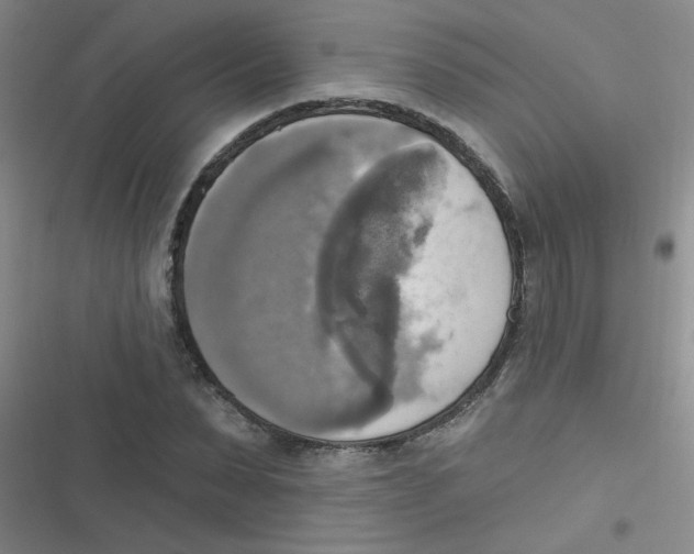 X0000116830879201001081435