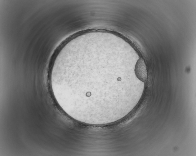 X0000116830880201001081435