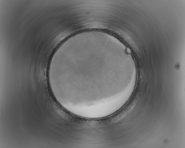 X0000116830881201001081435