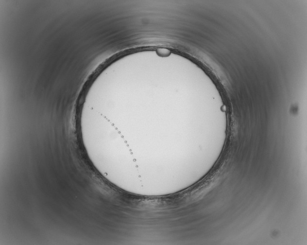 X0000116830883201001081435