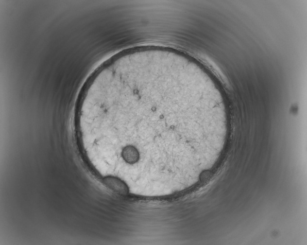 X0000116830884201001081435