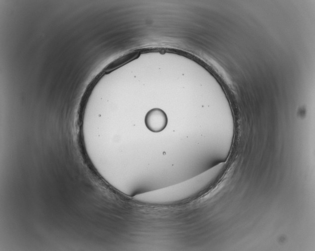 X0000116830885201001081435