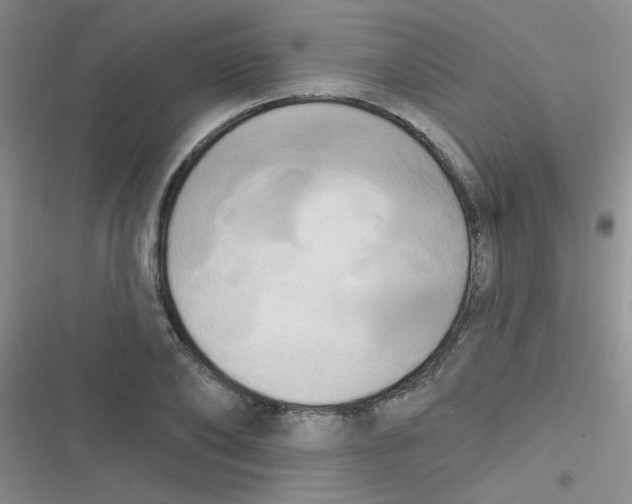 X0000116830886201001081435