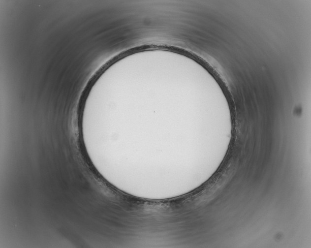 X0000116830887201001081435