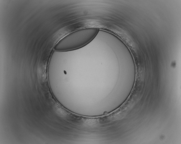 X0000116830889201001081435