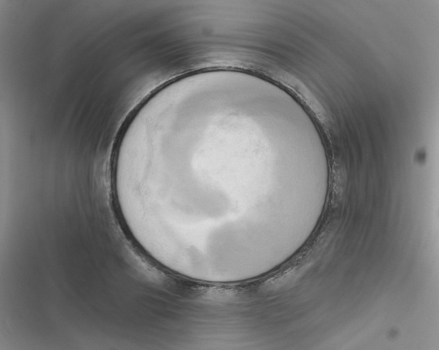 X0000116830890201001081435