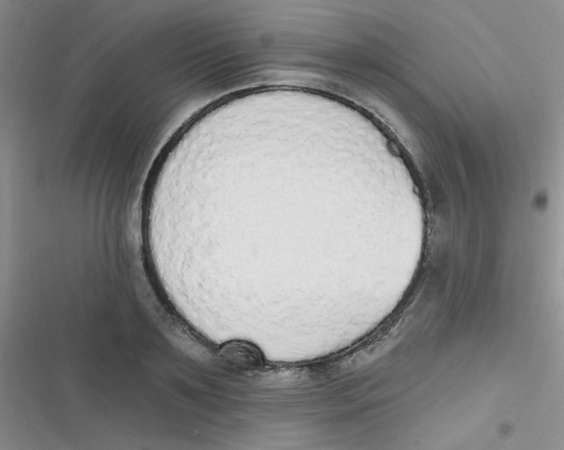 X0000116830891201001081435