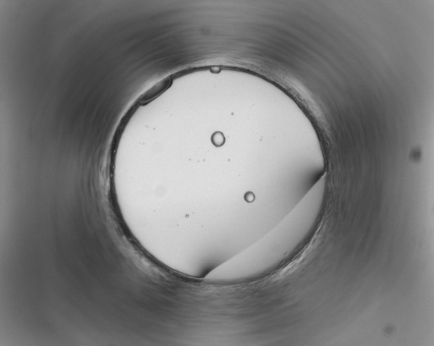 X0000116830892201001081435