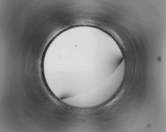 X0000116830893201001081435