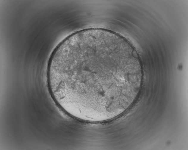 X0000116830894201001081435