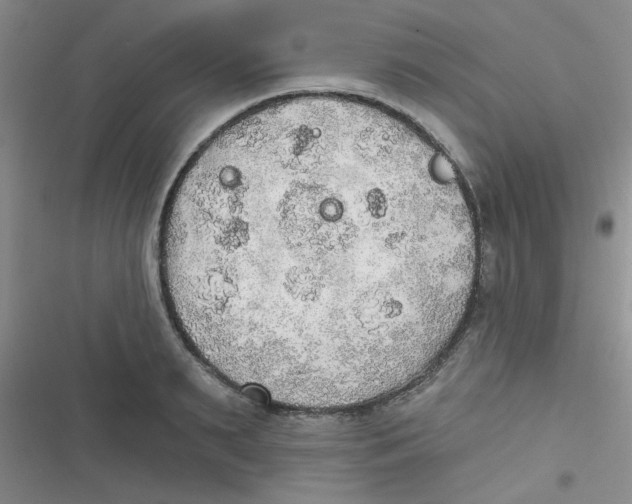 X0000116830895201001081435