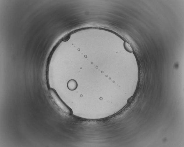 X0000116830896201001081435