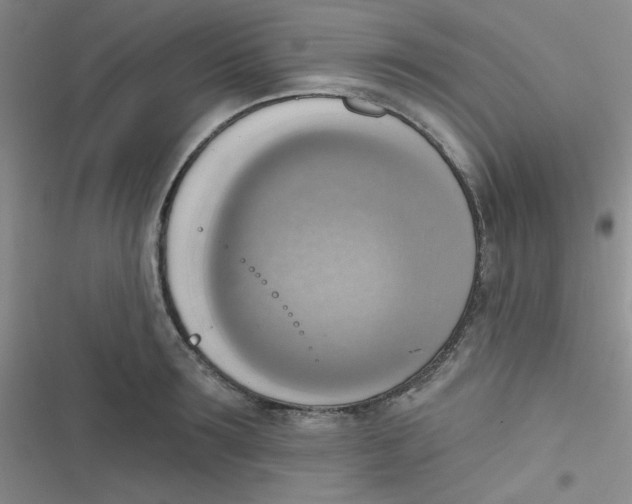 X0000116830899201001081435