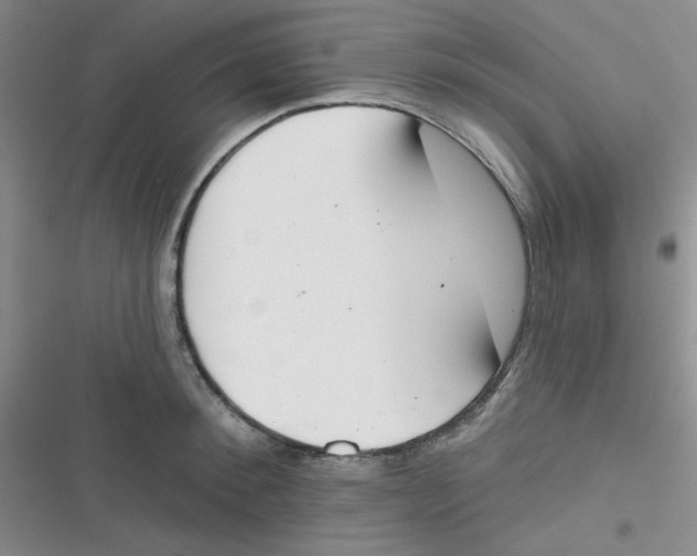 X0000116830900201001081435