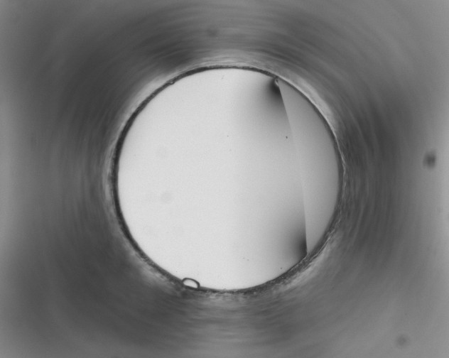 X0000116830901201001081435