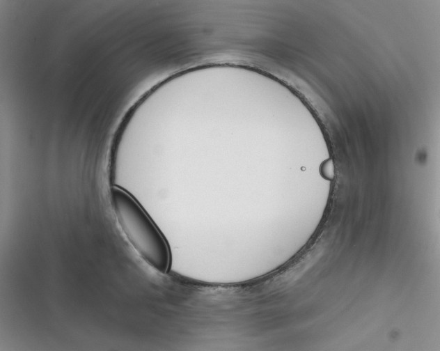 X0000116830902201001081435