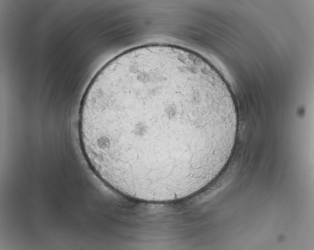 X0000116830903201001081435