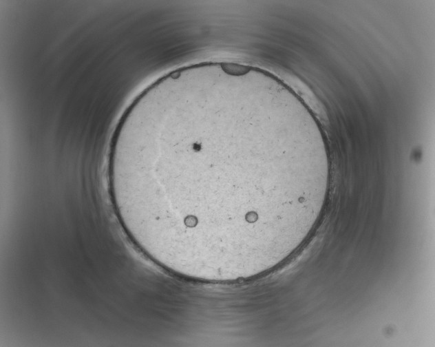 X0000116830904201001081435