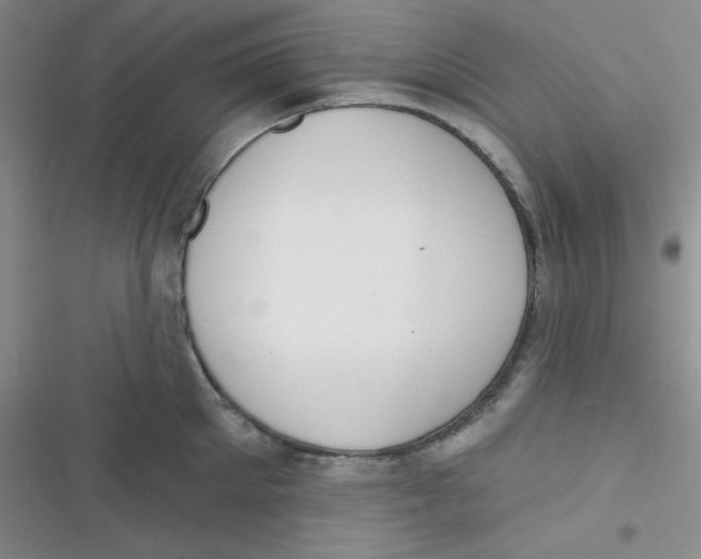 X0000116830905201001081435