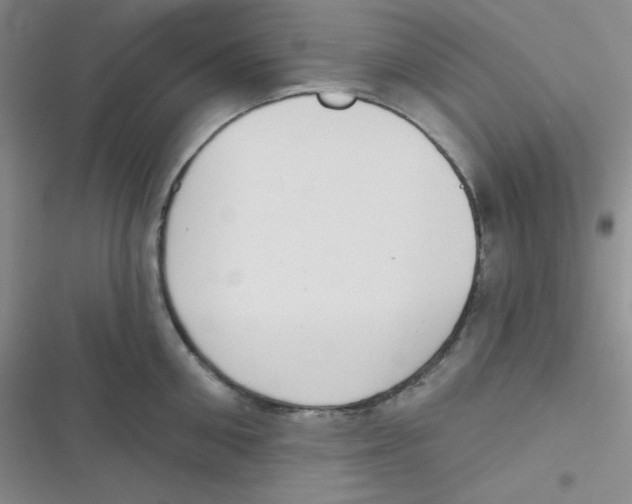 X0000116830906201001081435