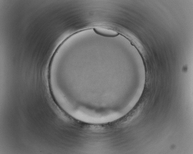 X0000116830907201001081435