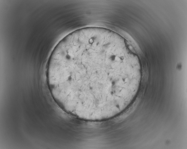 X0000116830908201001081435