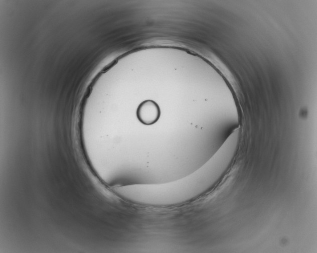 X0000116830909201001081435