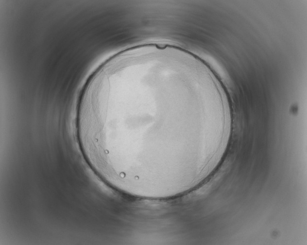 X0000116830910201001081435