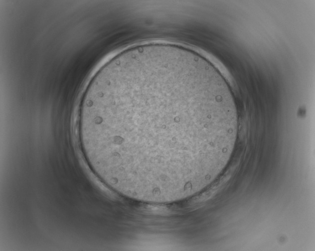 X0000116830911201001081435