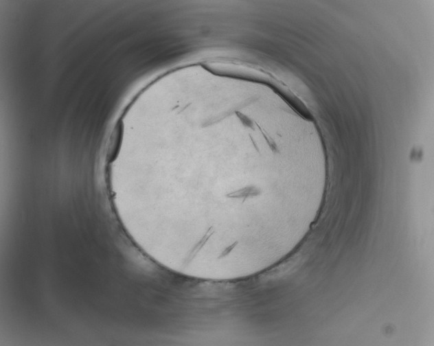 X0000116830912201001081435