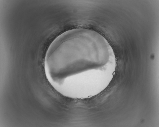 X0000116830913201001081434