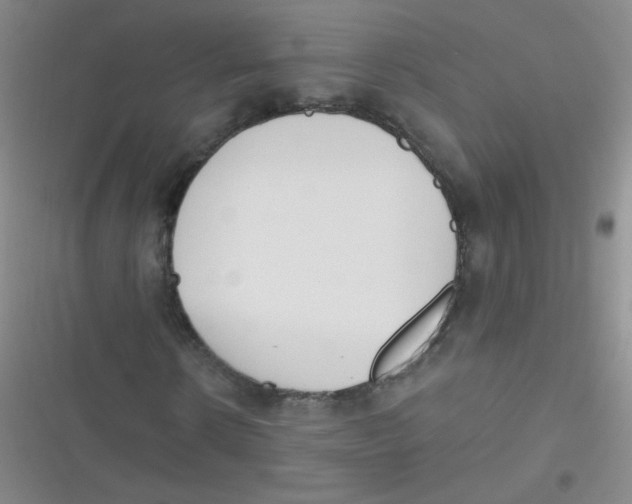 X0000116830914201001081434