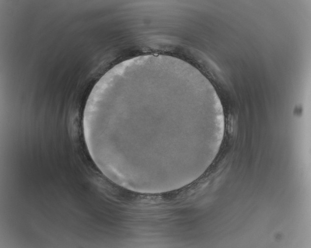 X0000116830915201001081434