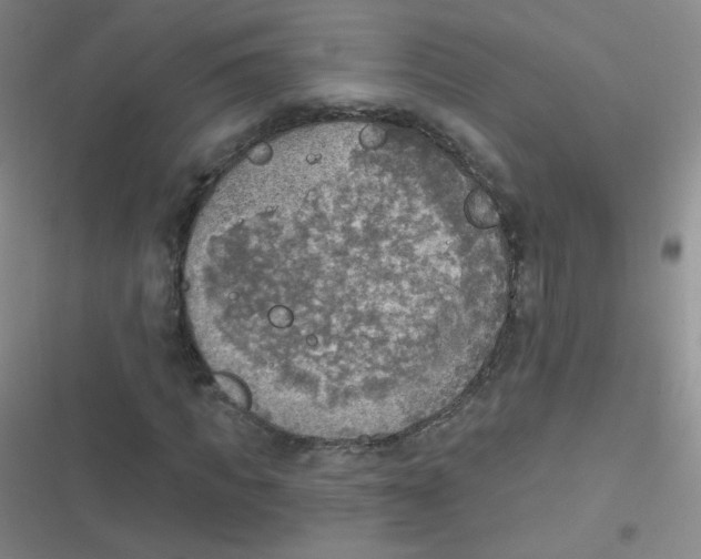 X0000116830917201001081434