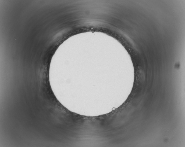 X0000116830918201001081434